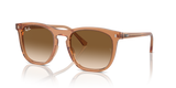 Transparent Brown / Clear & Brown (676451)