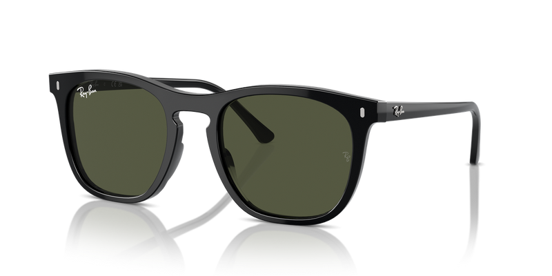 Ray-Ban RB2210F in Black - Alternate View