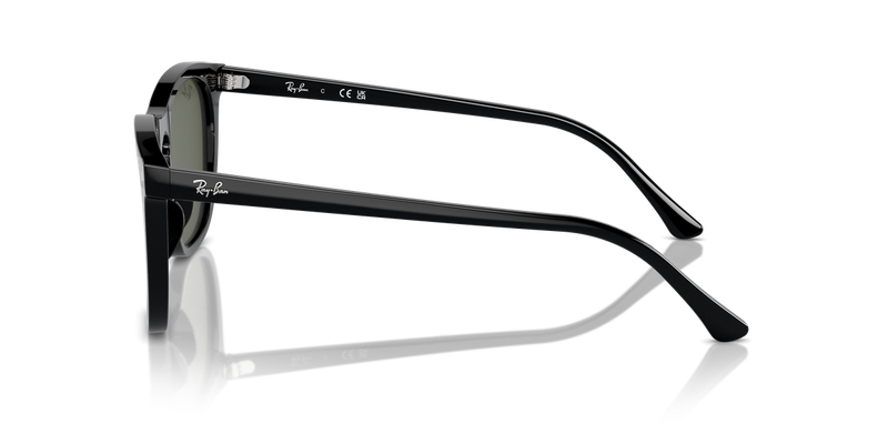 Ray-Ban RB2210F in Black - Alternate View