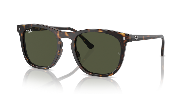 Ray-Ban RB2210F in Havana - Alternate View