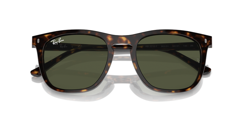 Ray-Ban RB2210F in Havana - Alternate View