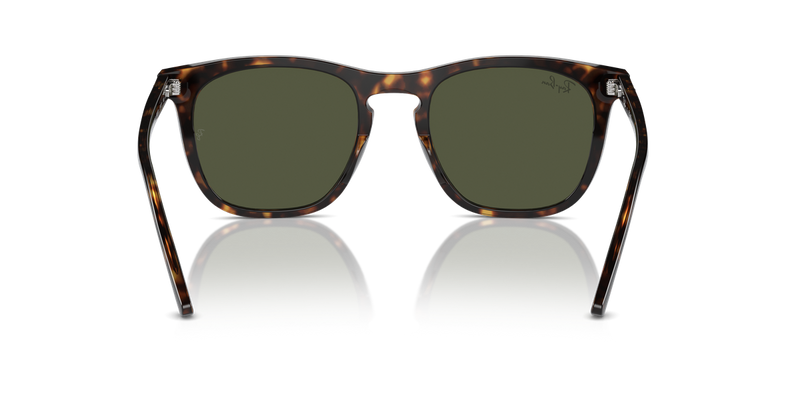 Ray-Ban RB2210F in Havana - Alternate View