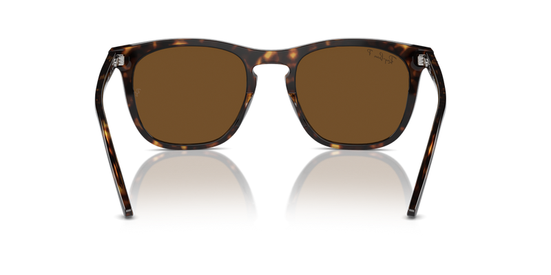 Ray-Ban RB2210F in Havana - Alternate View