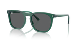 Transparent Green / Dark Grey (6615B1)