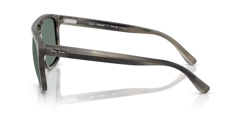 Ray-Ban RB2213CH in Havana Grey - Back View