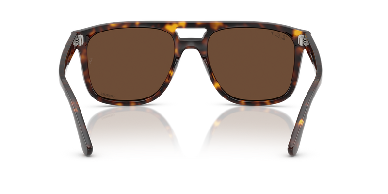 Ray-Ban RB2213CH in Havana - Alternate View