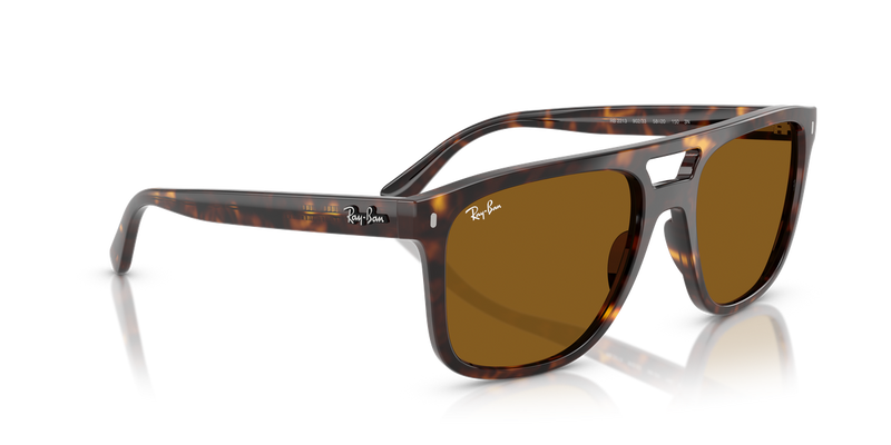 Ray-Ban RB2213 in Havana - Alternate View