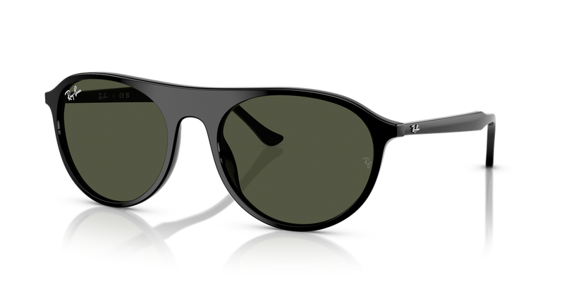 Ray-Ban RB2215F in Black - Alternate View