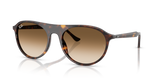 Havana / Clear Gradient Brown (902/51)
