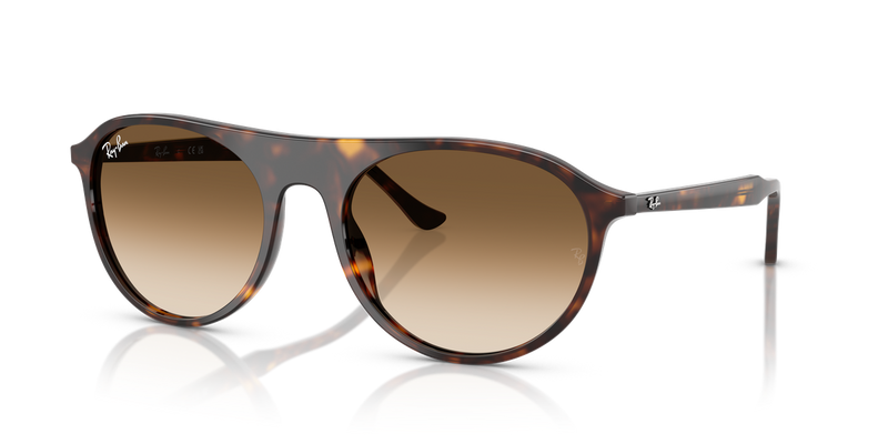 Ray-Ban RB2215F in Havana - Alternate View