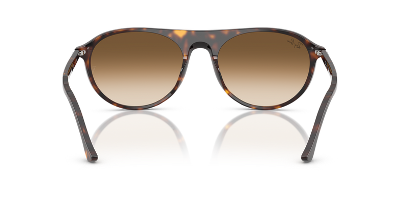Ray-Ban RB2215F in Havana - Alternate View