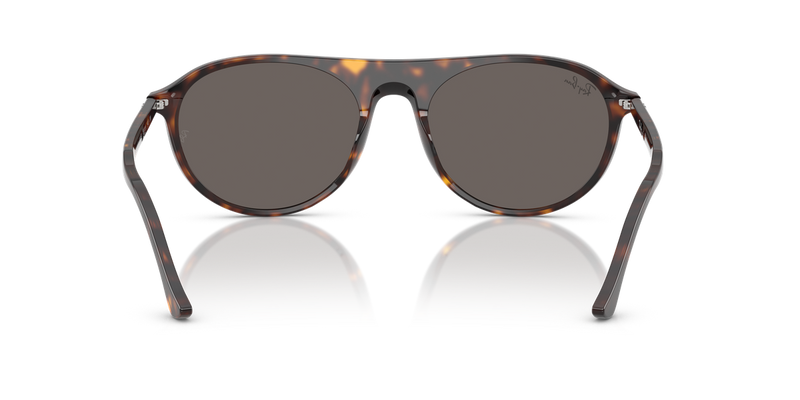 Ray-Ban RB2215F in Havana - Alternate View