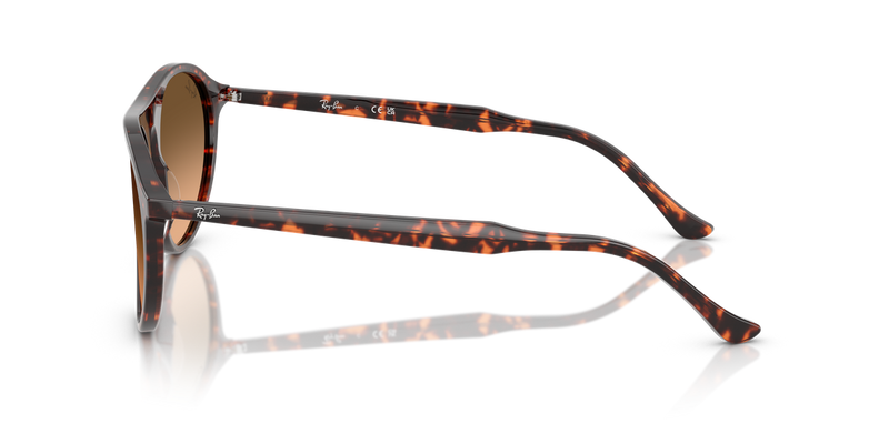 Ray-Ban RB2215 in Havana Red Turtle - Back View