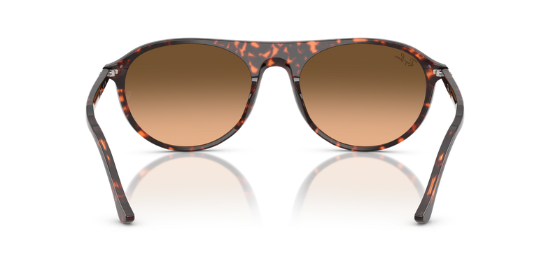 Ray-Ban RB2215 in Havana Red Turtle - Temple Detail