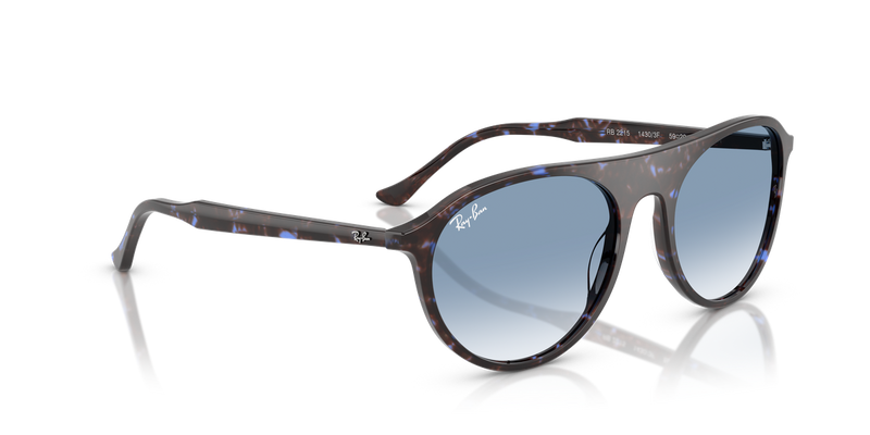 Ray-Ban RB2215 in Havana Blue Turtle - Alternate View