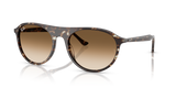 Havana Yellow Turtle / Clear Gradient Brown (143151)
