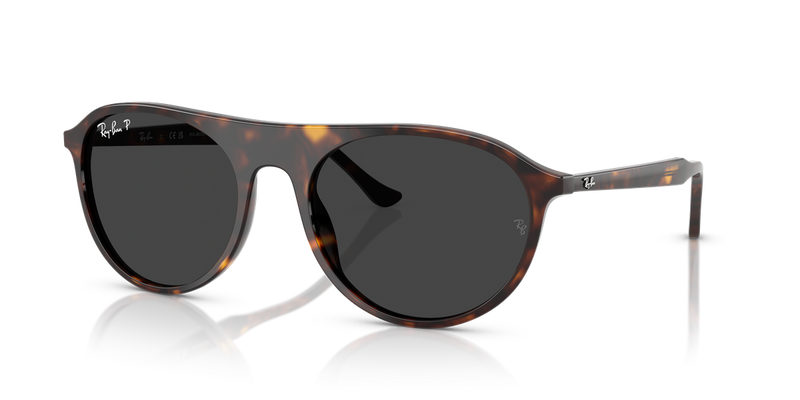 Ray-Ban RB2215 in Havana - Alternate View