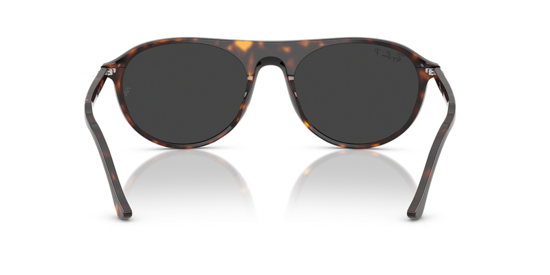 Ray-Ban RB2215 in Havana - Alternate View