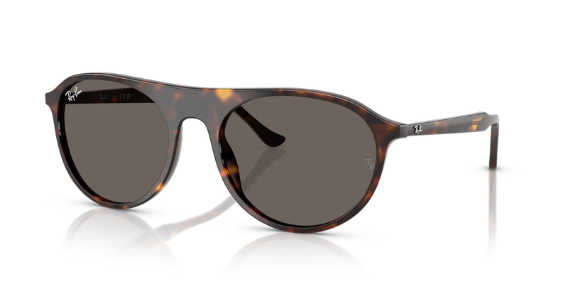 Ray-Ban RB2215 in Havana - Alternate View