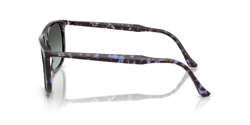 Ray-Ban RB2216F in Havana Blue Turtle - Back View