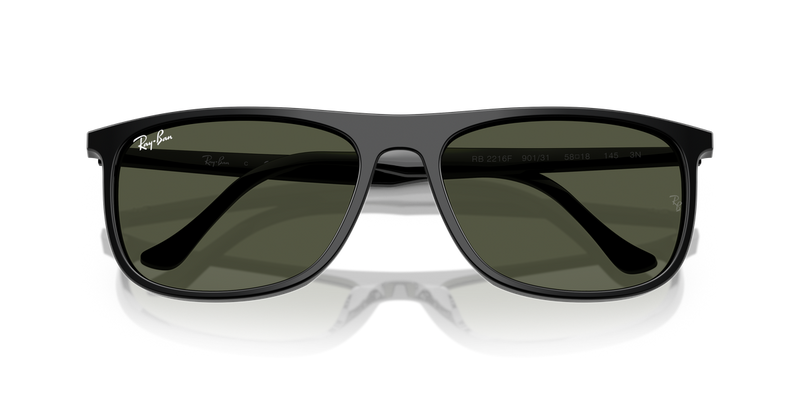 Ray-Ban RB2216F in Black - Alternate View