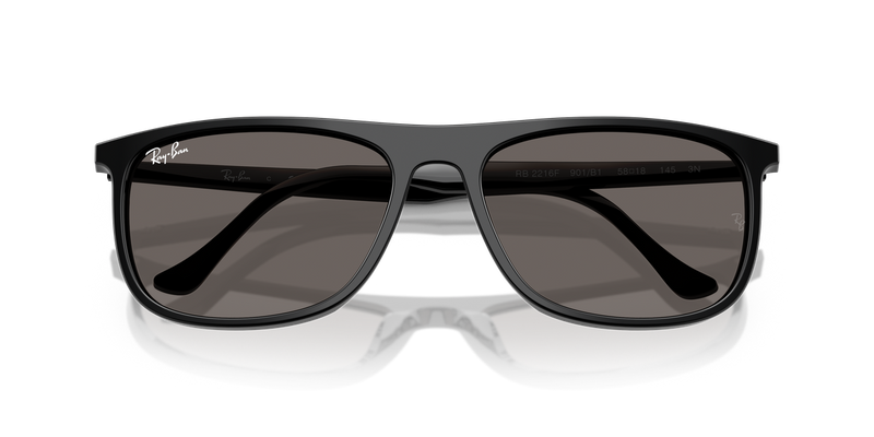Ray-Ban RB2216F in Black - Alternate View