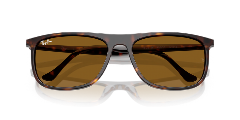 Ray-Ban RB2216F in Havana - Alternate View