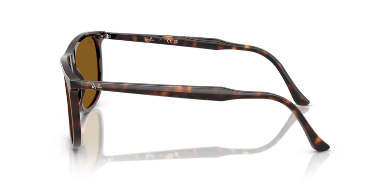Ray-Ban RB2216F in Havana - Alternate View
