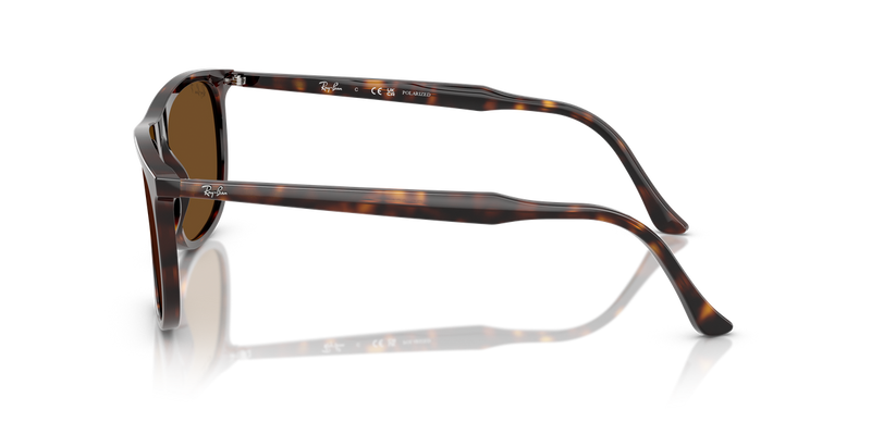 Ray-Ban RB2216F in Havana - Alternate View