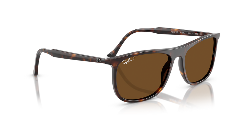 Ray-Ban RB2216F in Havana - Alternate View