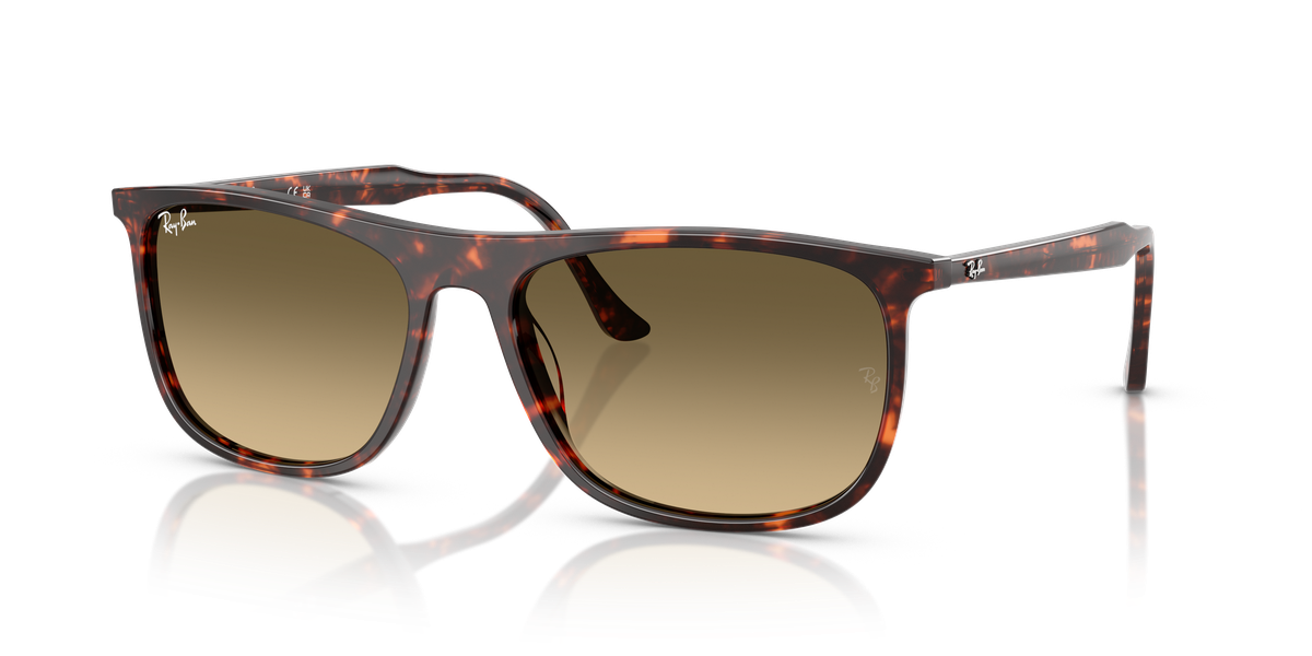Ray-Ban RB2216