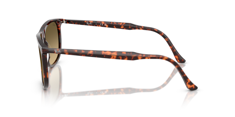 Ray-Ban RB2216 in Havana Red Turtle - Back View
