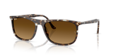 Havana Yellow Turtle / Gradient Brown (143185)