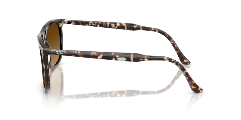 Ray-Ban RB2216 in Havana Yellow Turtle - Alternate View