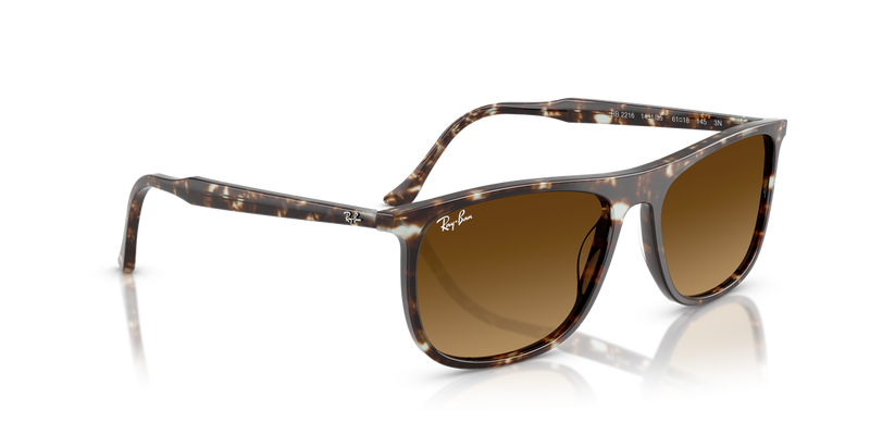 Ray-Ban RB2216 in Havana Yellow Turtle - Alternate View