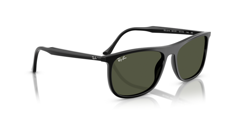 Ray-Ban RB2216 in Black - Alternate View