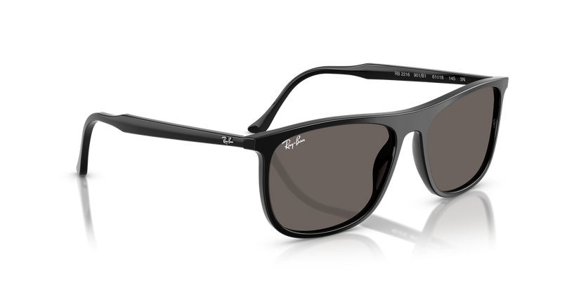 Ray-Ban RB2216 in Black - Alternate View