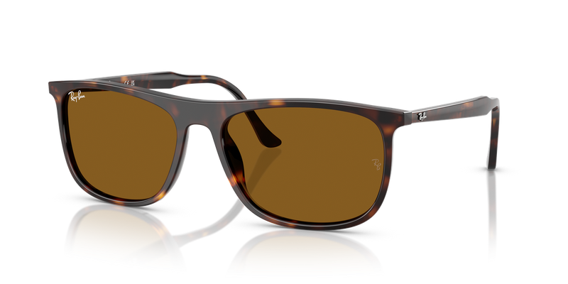 Ray-Ban RB2216 in Havana - Alternate View