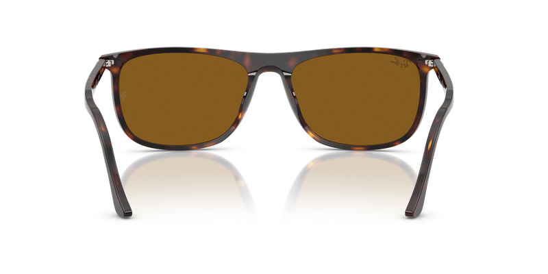 Ray-Ban RB2216 in Havana - Alternate View