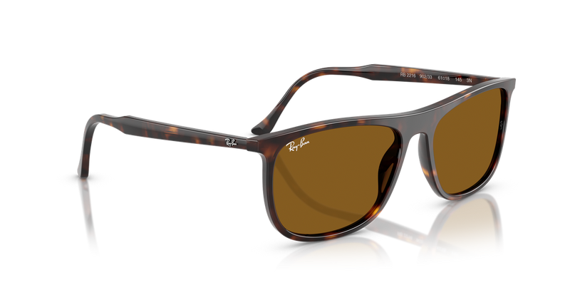 Ray-Ban RB2216 in Havana - Alternate View