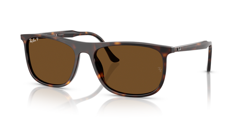 Ray-Ban RB2216 in Havana - Alternate View