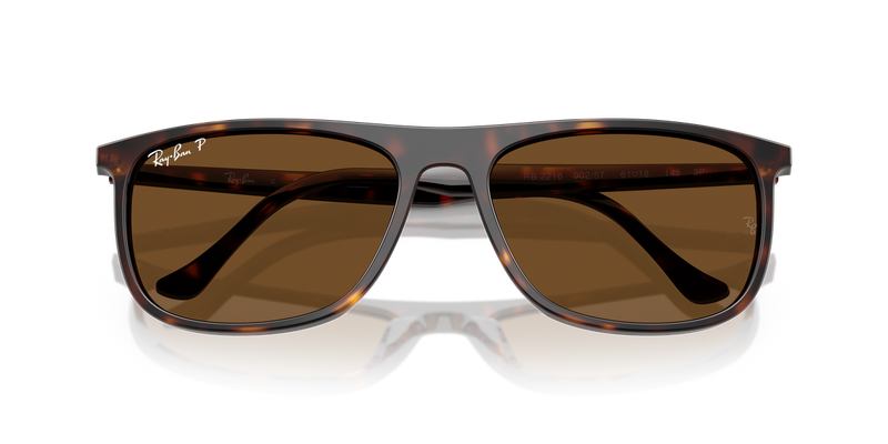 Ray-Ban RB2216 in Havana - Alternate View