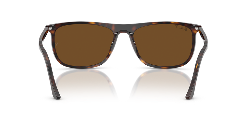 Ray-Ban RB2216 in Havana - Alternate View