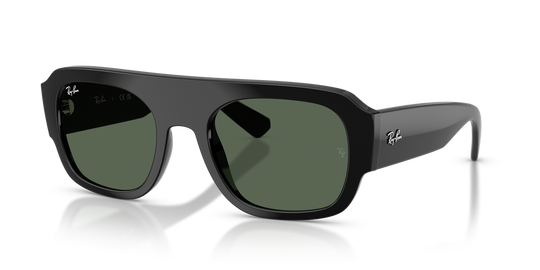 Ray-Ban RB2218 - Black / Dark Green (667771)