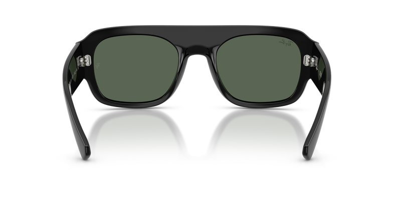 Ray-Ban RB2218 in Black / Dark Green (667771) - Temple Detail