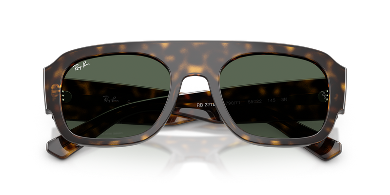 Ray-Ban RB2218 in Havana / Green (679071) - Alternate View