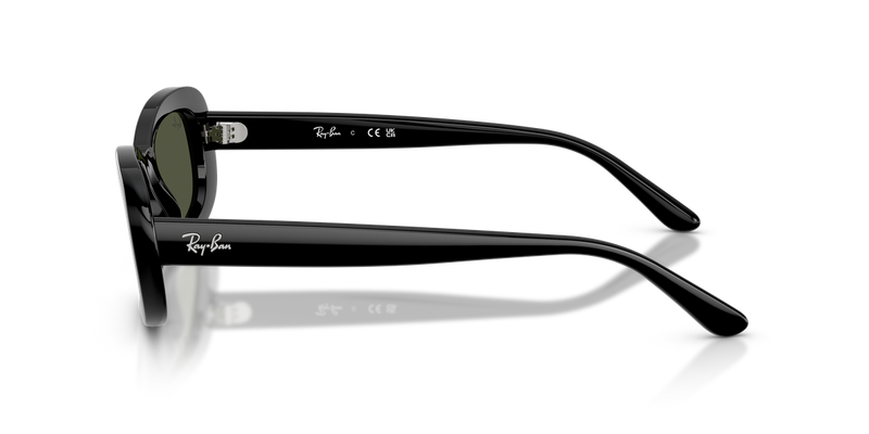 Ray-Ban RB2221F in Black - Alternate View