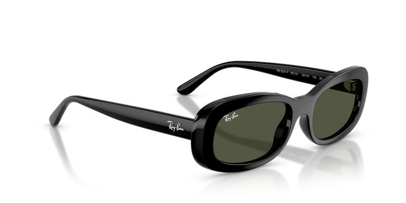 Ray-Ban RB2221F in Black - Alternate View