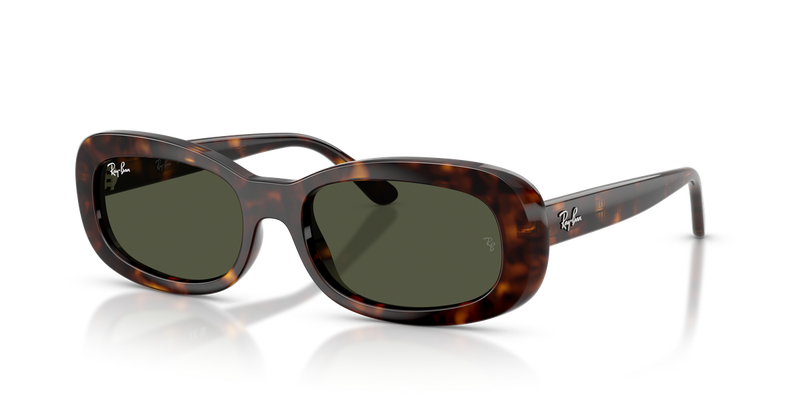 Ray-Ban RB2221F in Havana - Alternate View