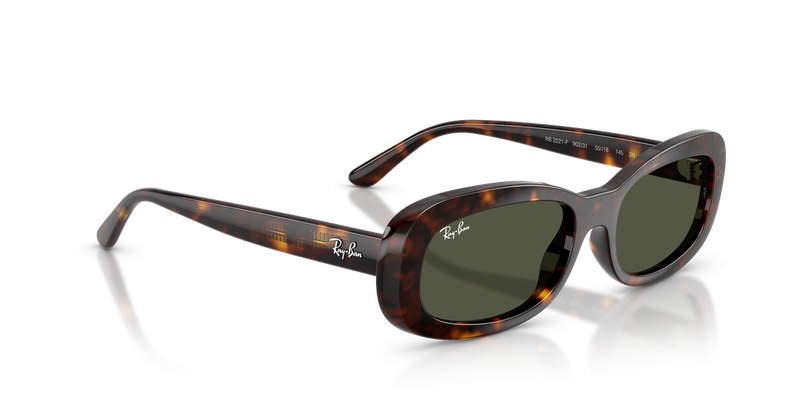 Ray-Ban RB2221F in Havana - Alternate View